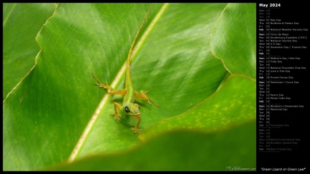 Green Lizard on Green Leaf