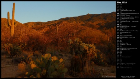 Saguaro Sunset I