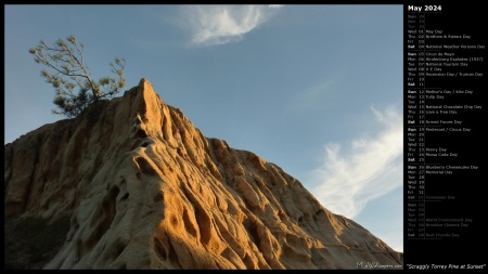 Scraggly Torrey Pine at Sunset