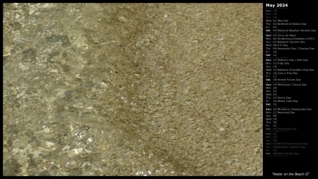 Water on the Beach II