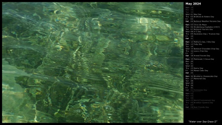 Water over Sea Grass II