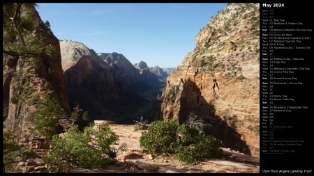 Zion from Angels Landing Trail
