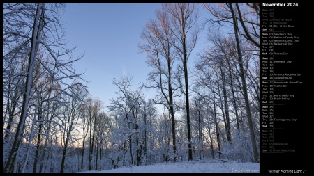 Winter Morning Light I