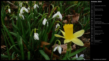 Snowdrops and Daffodil