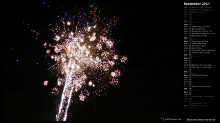 Blue and White Fireworks