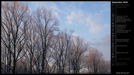 Winter Morning III