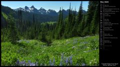Cascade Range from Mount Rainier National Park