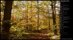Wolf Rocks Trail in Autumn