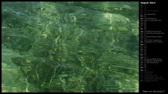 Water over Sea Grass II