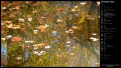 Autumn Leaves and Stream Reflection