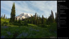 Mount Rainier Morning Light