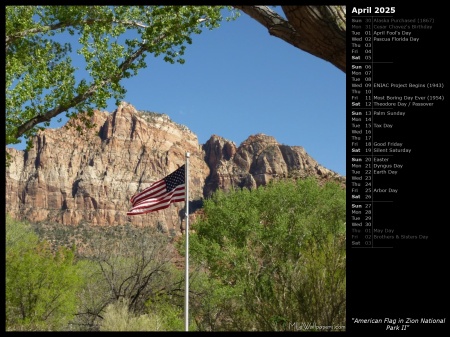 American Flag in Zion National Park II
