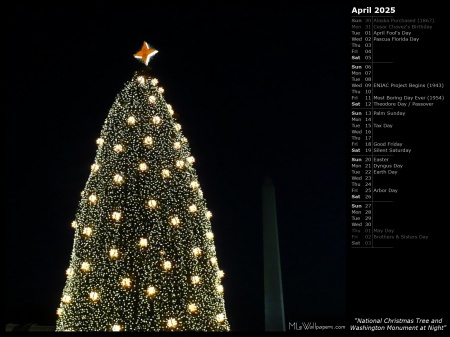 National Christmas Tree and Washington Monument at Night