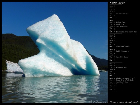 Iceberg on Mendenhall Lake