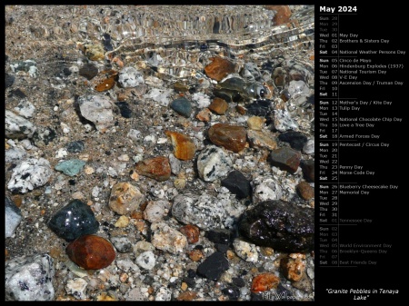 Granite Pebbles in Tenaya Lake