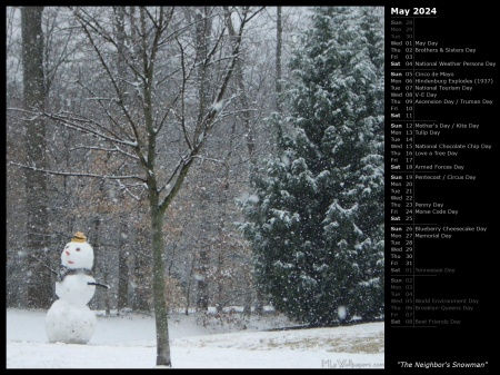 The Neighbor's Snowman