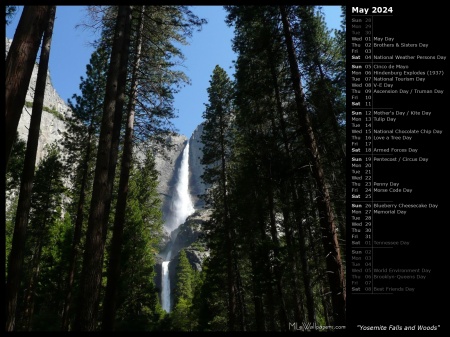 Yosemite Falls and Woods