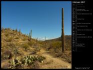 Saguaro's Carillo Trail