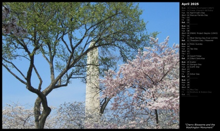 Cherry Blossoms and the Washington Monument