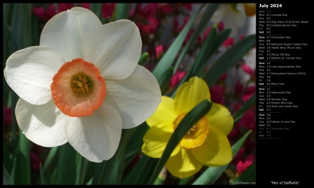 Pair of Daffodils