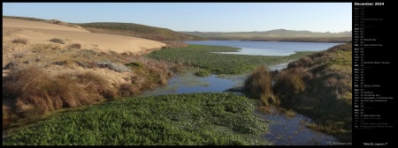 Abbotts Lagoon I
