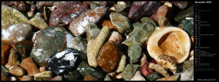 Shells, Rocks and Coral