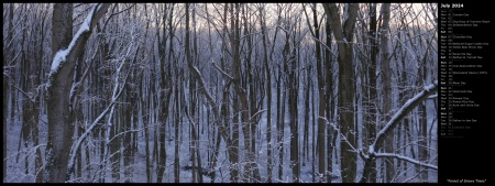 Forest of Snowy Trees