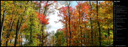 Fall Trees and Blue Sky