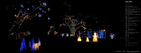 Winter Wonderland Lights