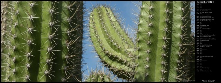 Barrel Cactus I
