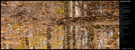 Reflection in Still Creek