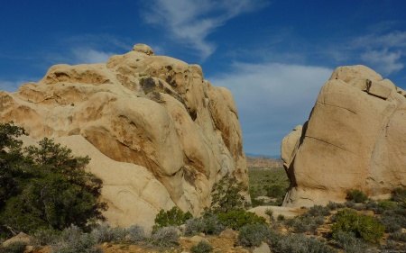 Jumbo Rocks at Joshua Tree