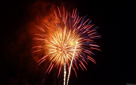 Red, White and Blue Fireworks I