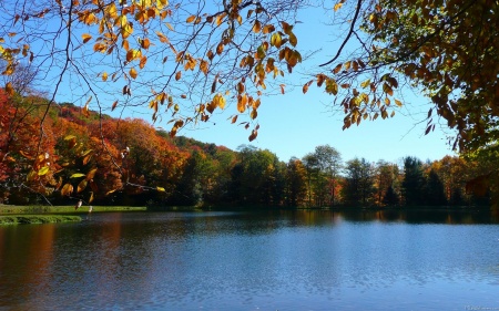 Seven Springs Fall Trees and Pond