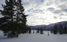 End of a Snowy Day in Yellowstone