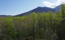 Smoky Mountains in Spring