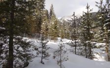 Winter Snowy Mountain Scene