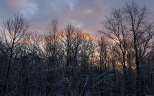 Winter Sunrise I