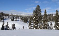 Yellowstone Winter Landscape