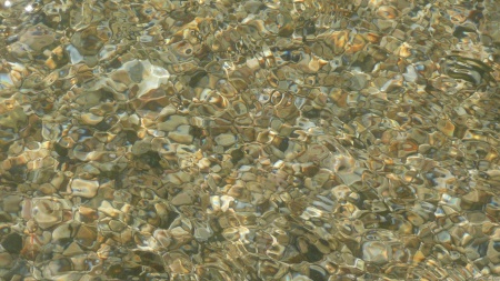 Shells Under Rippling Water