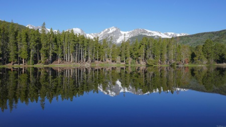 Sprague Lake Reflection