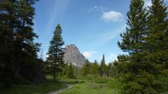 Aster Park Trail