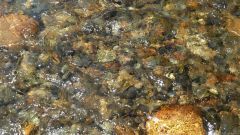 River-Worn Pebbles
