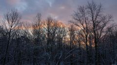 Winter Sunrise I