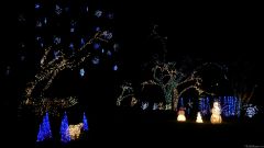 Winter Wonderland Lights