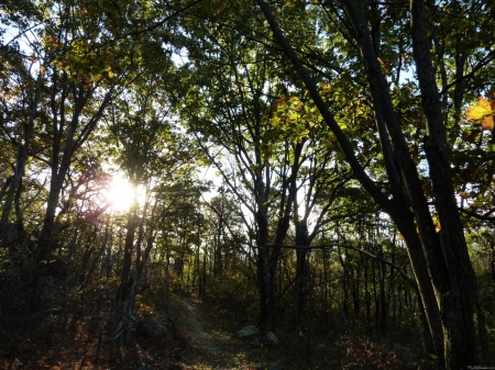 Autumn Morning at Shenandoah National Park