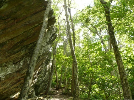 Frazier Rock Wall