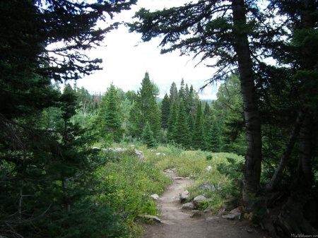 Grand Teton Trail