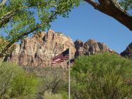 American Flag in Zion National Park II