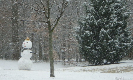 The Neighbor's Snowman